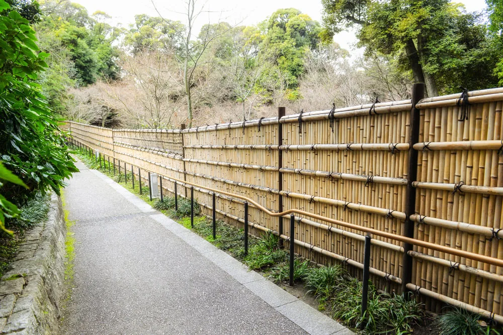 Why Do Fence Posts Rot at Ground Level