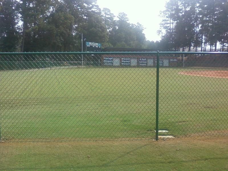 Baseball field chain link fence green vinyl