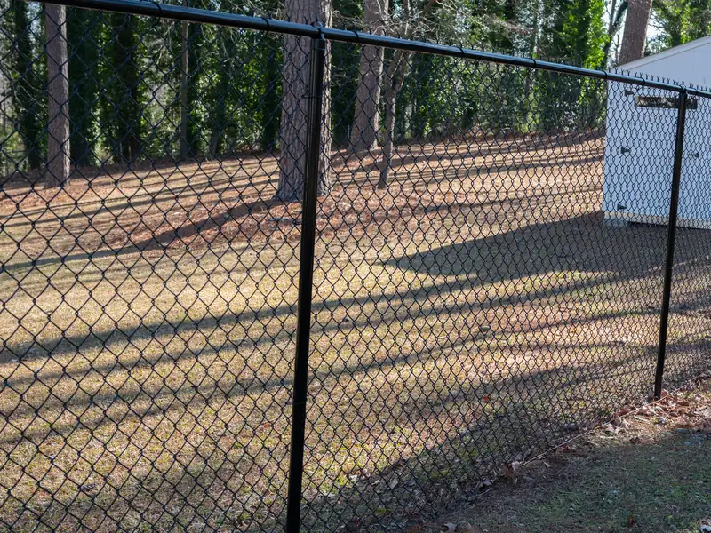 Black chain link fence in a sunny wooded backyard