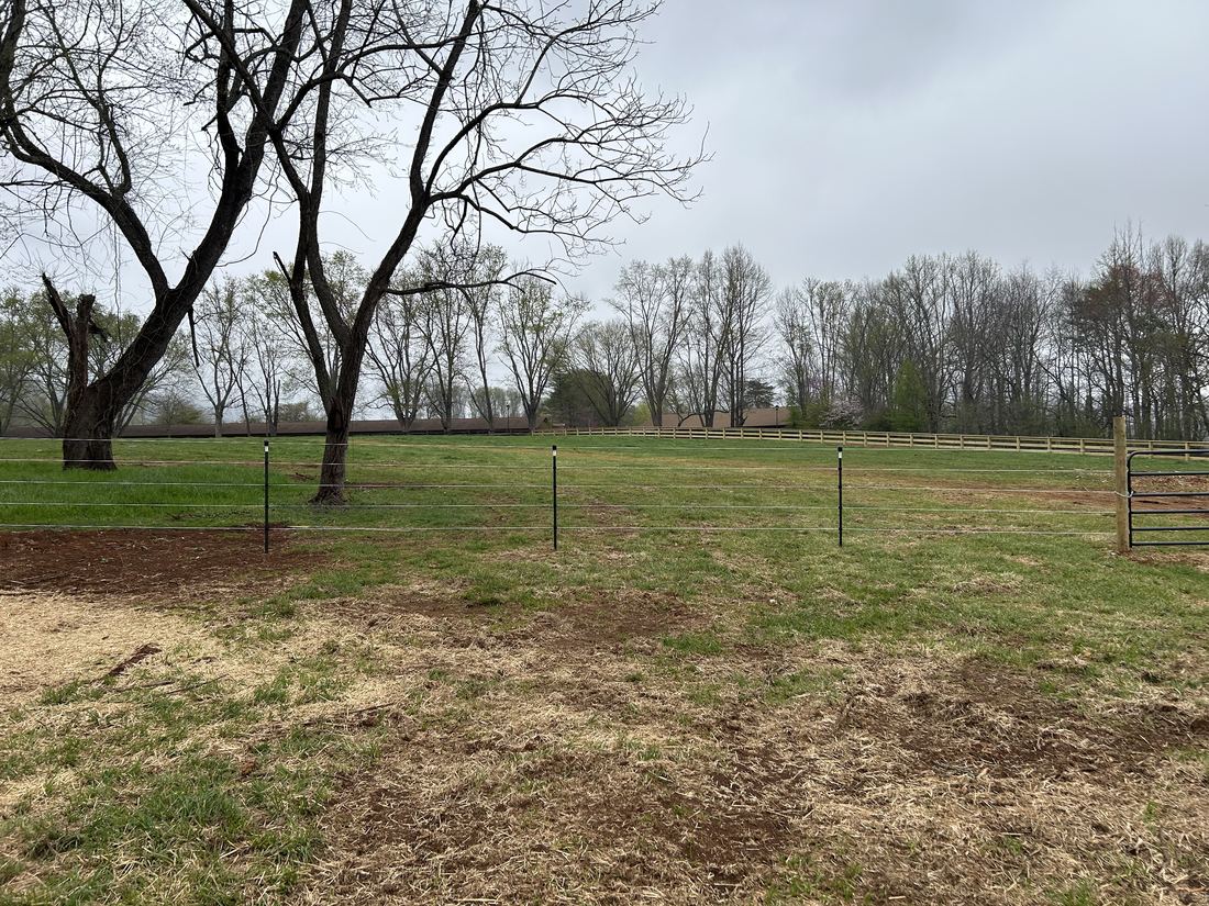 Cameo horse fencing (Dillard House)