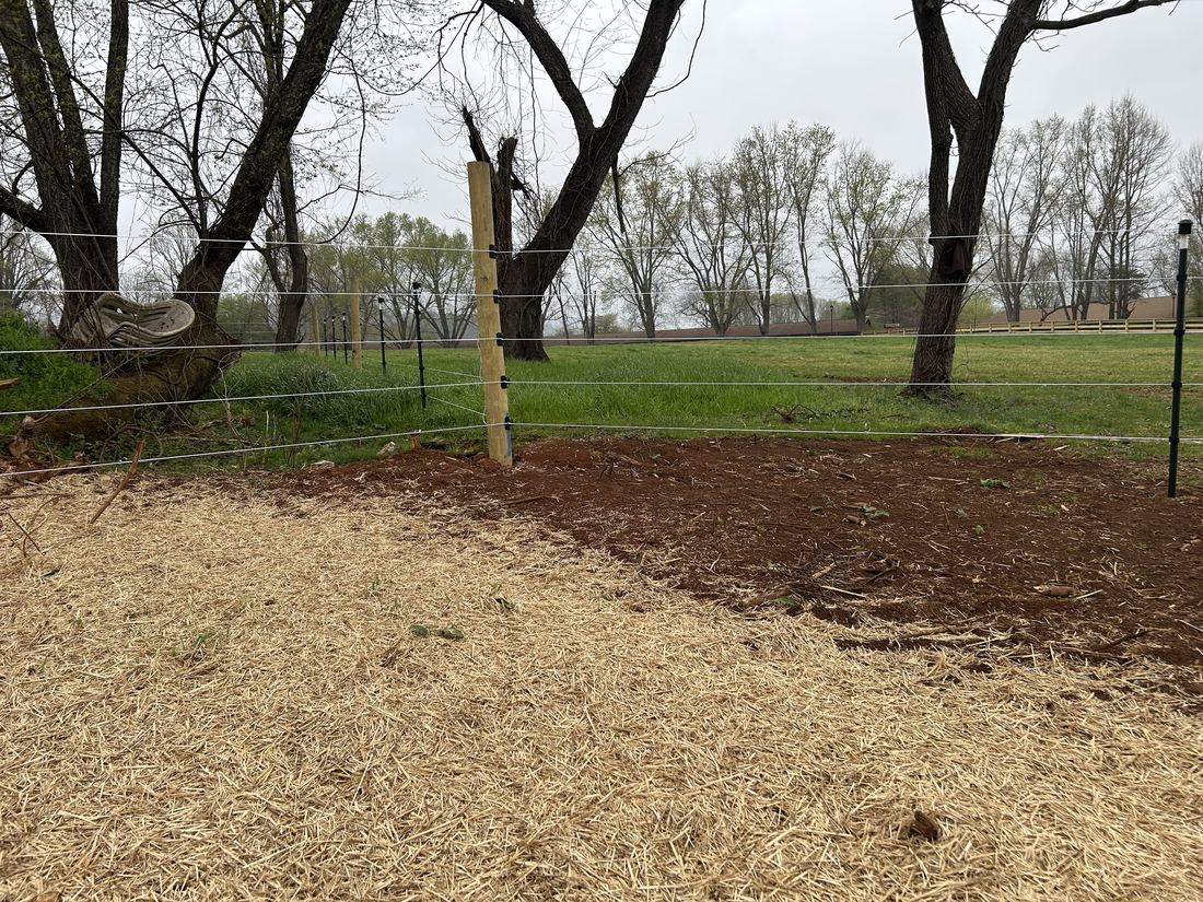 Cameo horse fencing (Dillard House)