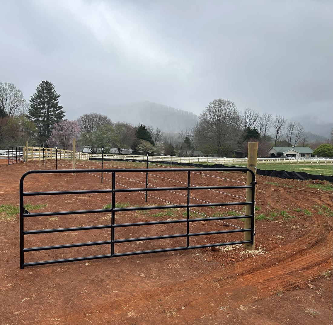 Steel black tube gate, 12 ft (Dillard House)