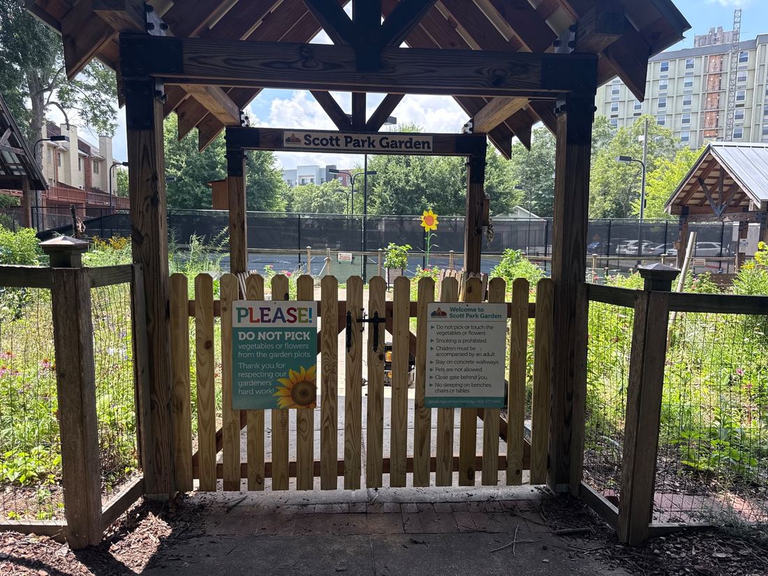 Dog-ear spaced picket fence (Scott Park Garden)