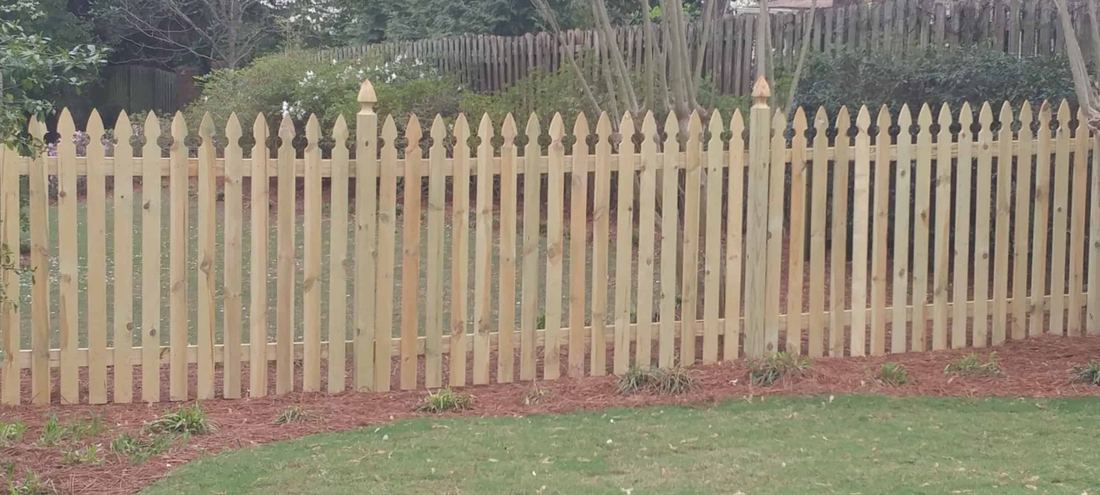 Wood pine french gothic picket fence