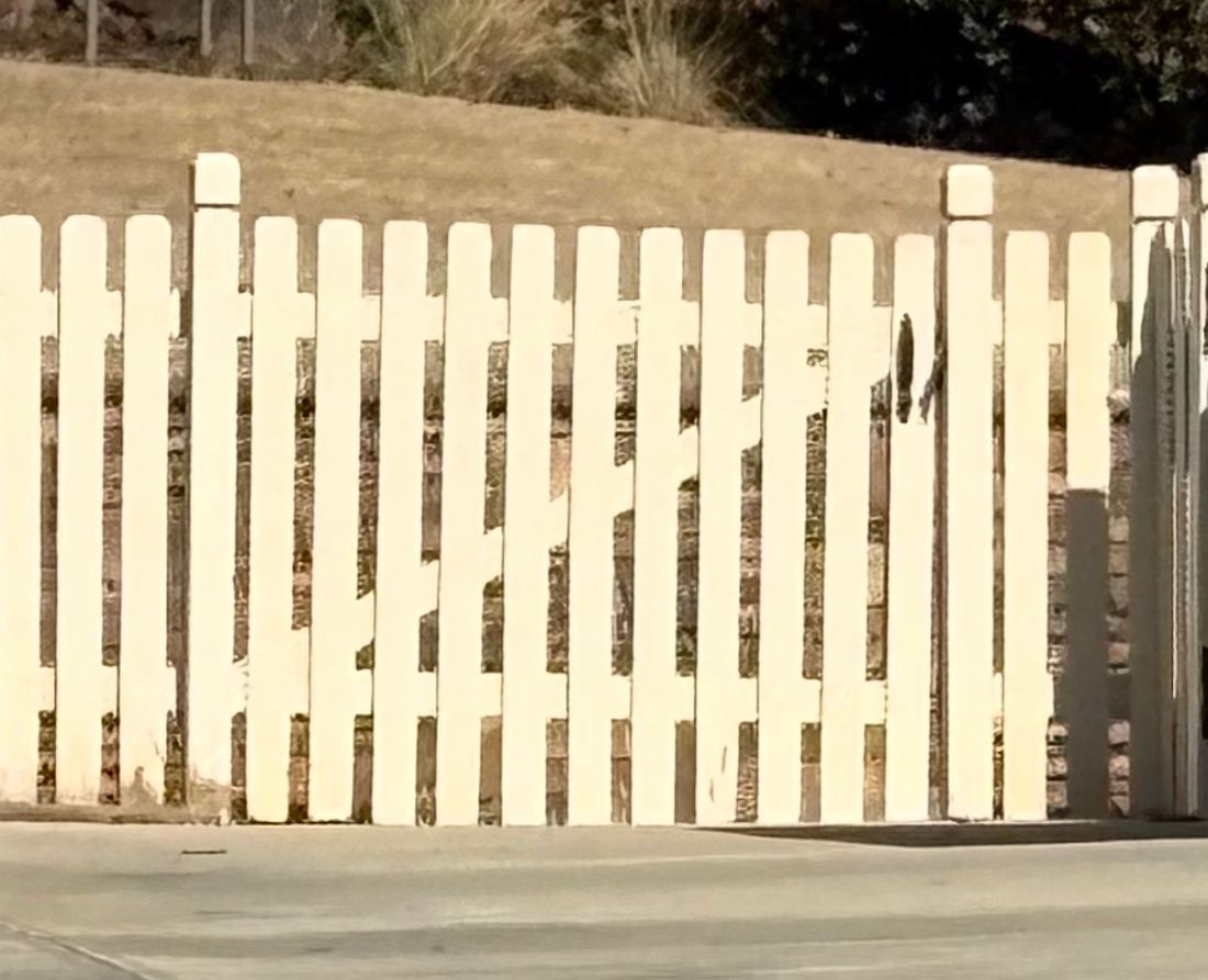 Wood spaced dog ear picket fence with dado posts